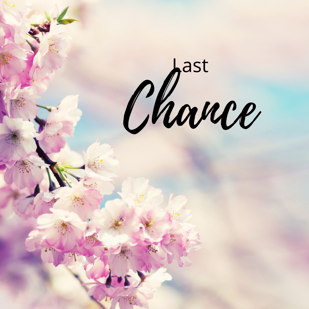 Last Chance! – Red Eyed Lacquer