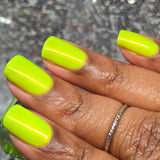 7th Indieversary Duo