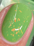 Rubber Tree